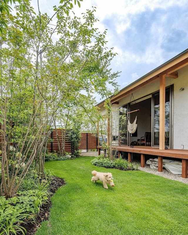 Picture of the author