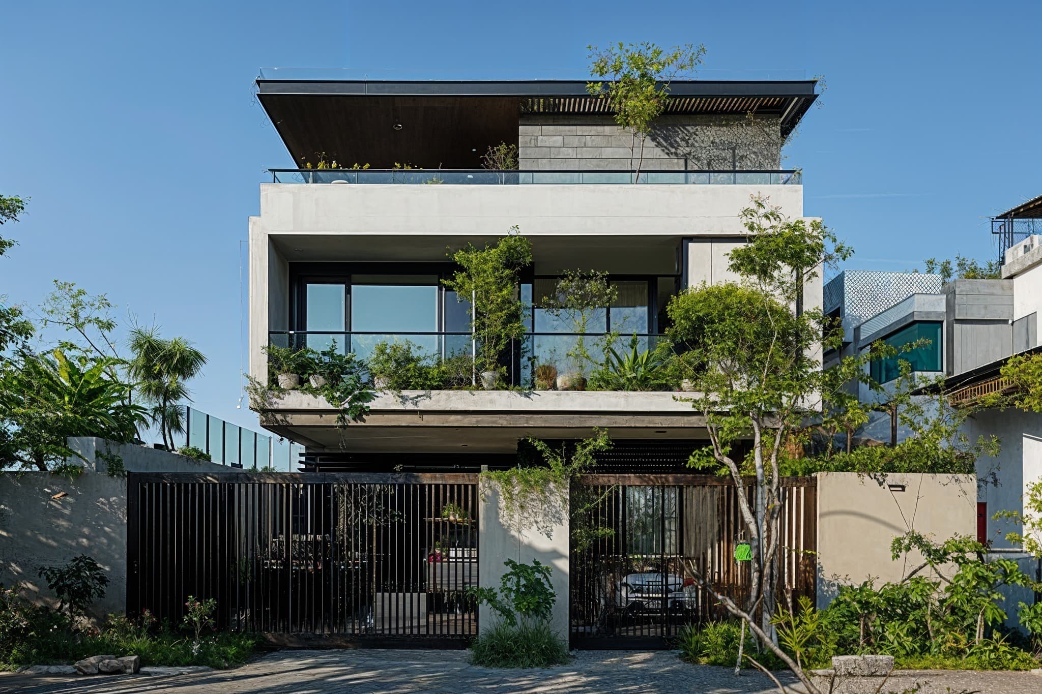 Picture of the author